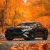 A3 landscape Mustang Wallpaper on Aluminum