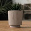Modern Planter with Twist-Lock Drip Container